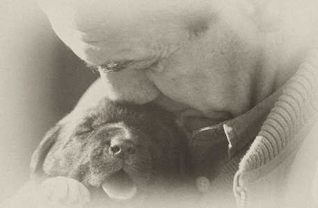 53un perro y me lo mataron 53un perro y me lo mataron