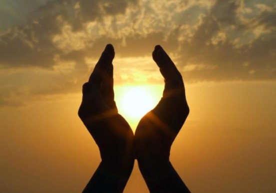 21335873_1 21335873_1