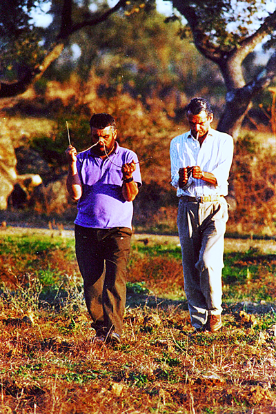 Con un gallego buscando agua en un trozo de tierra abierta Con un gallego buscando agua en un trozo de tierra abierta