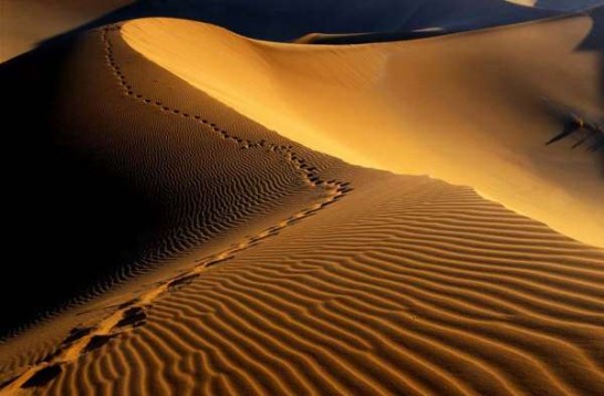 desierto11 desierto11