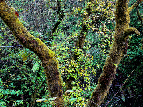 165DSC00112 165DSC00112