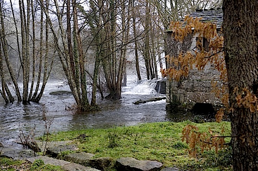 242fervenza19 242fervenza19