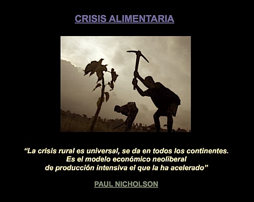 246crisis alimentaria 246crisis alimentaria