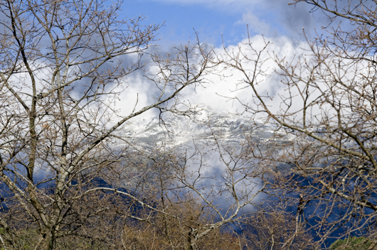 249Gredo montanajpg 249Gredo montanajpg