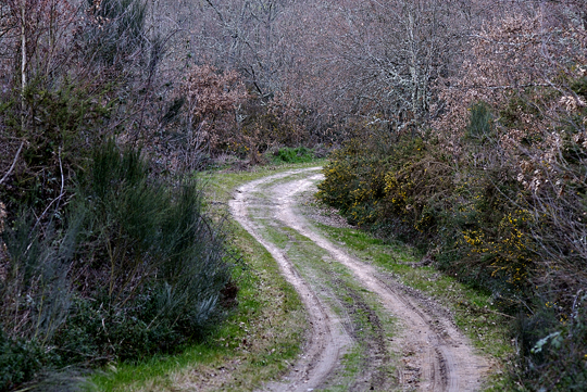 78ponte hermida camino de descenso 020 78ponte hermida camino de descenso 020