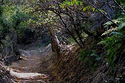 lubian camino 2