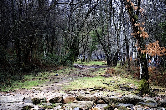 284fervenza13 284fervenza13