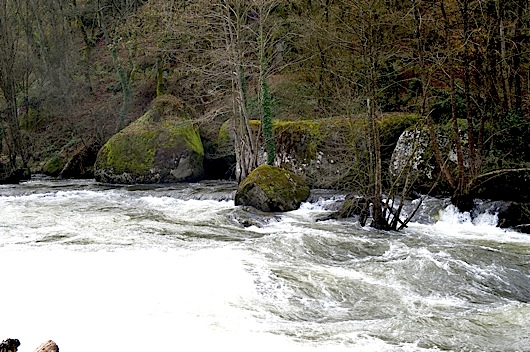 286molino5 286molino5