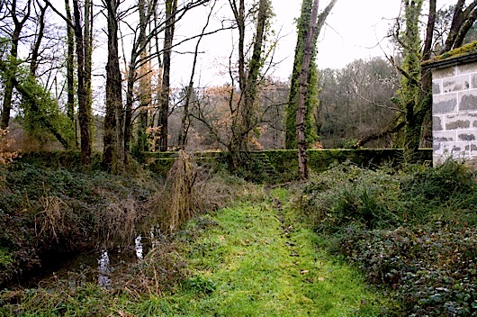 287molino21 287molino21