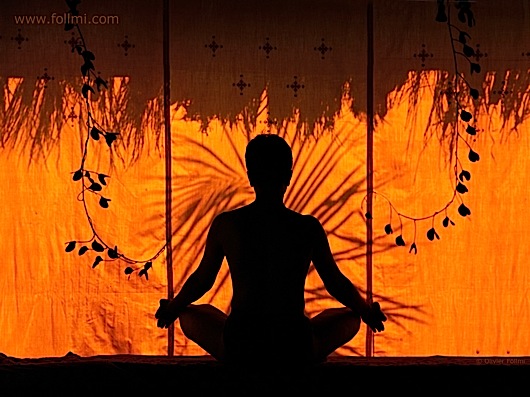 296follmi_fe14_1024 296follmi_fe14_1024